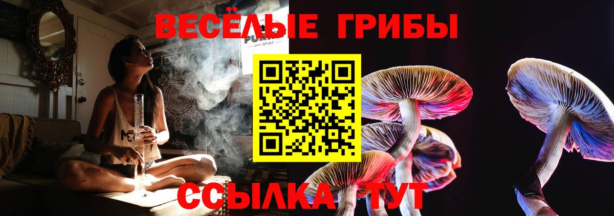 Псилоцибиновые грибы Psilocybe Нефтеюганск